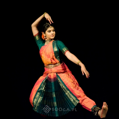 Dakshina Vaidyanathan, Brave Festival 2014